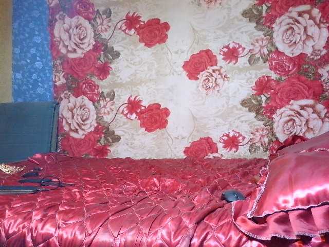 Preview of evalipsievam