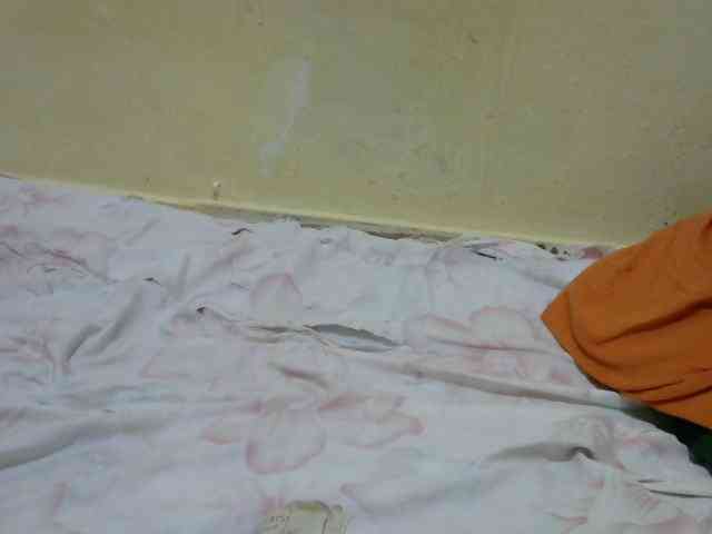 Ciera-queen Ciera-queen