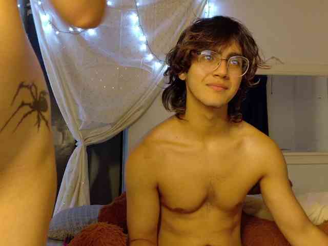 2006-tgn webcam