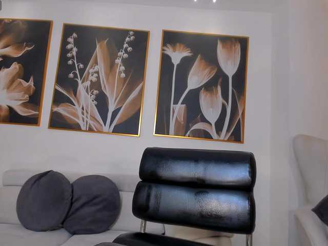 LaurentConnor webcam