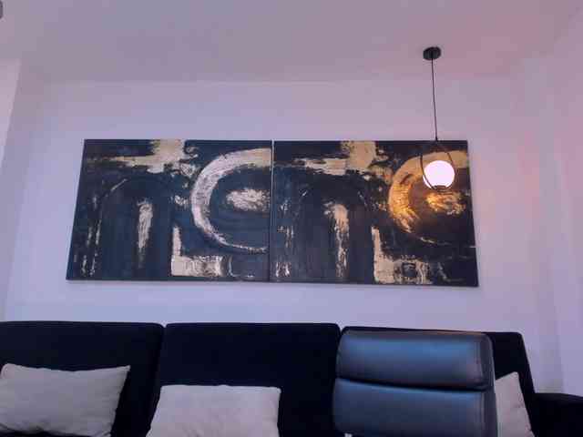 LaurentConnor webcam