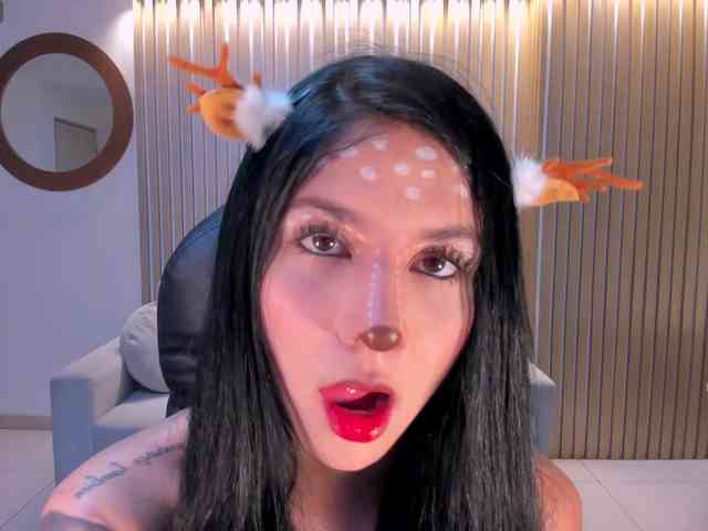 LaurentConnor webcam