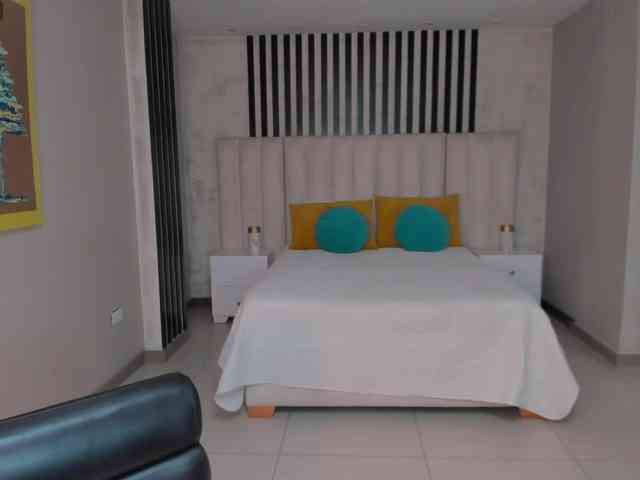 LaurentConnor webcam