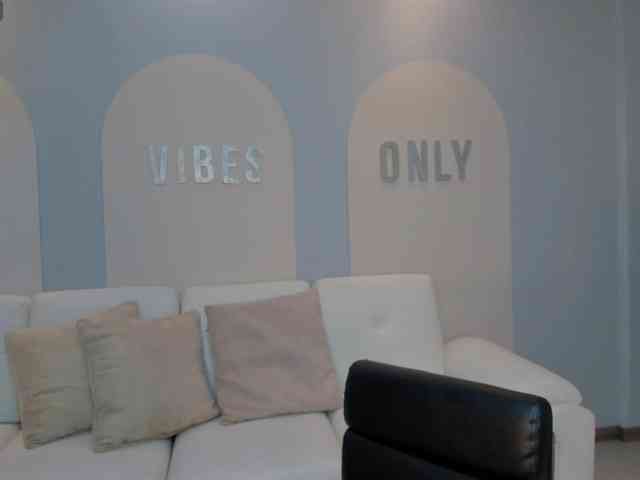 LaurentConnor webcam