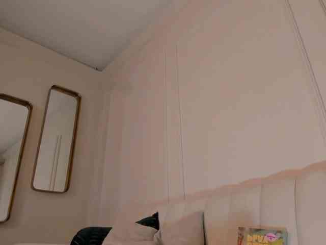 LaurentConnor webcam