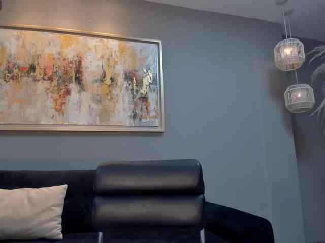 LaurentConnor webcam