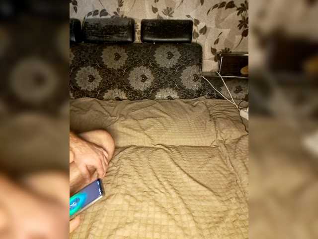 Cat-Bars69