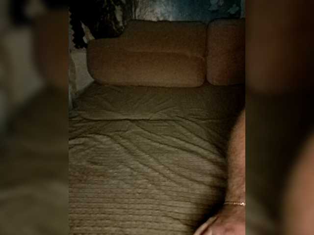 Cat-Bars69