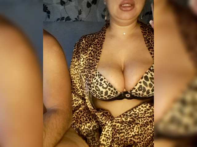 Cat-Bars69