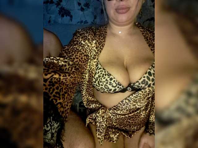 Cat-Bars69