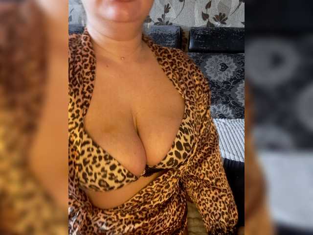 Cat-Bars69