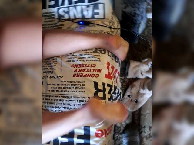 Cat-Bars69
