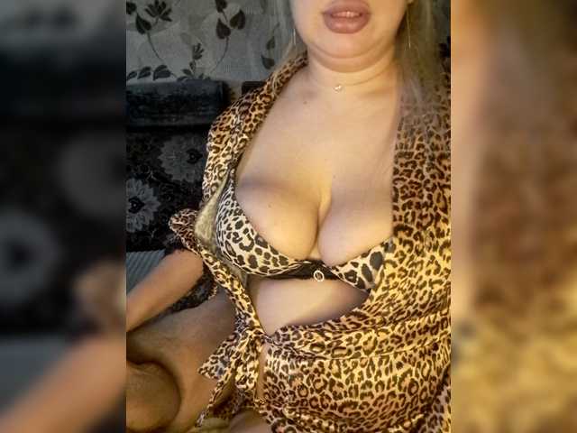 Cat-Bars69
