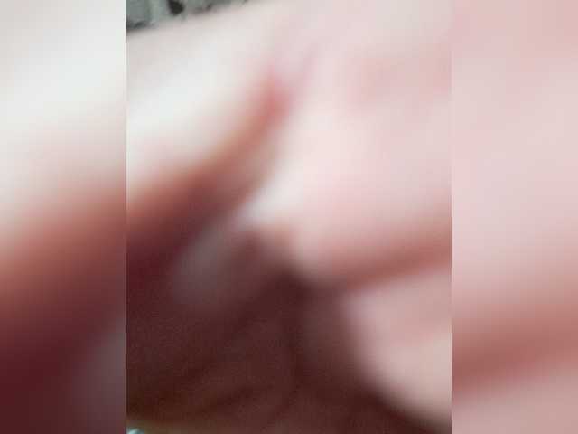 Cat-Bars69