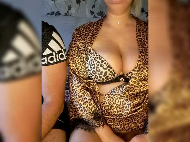 Cat-Bars69