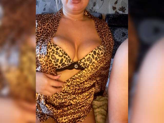 Cat-Bars69