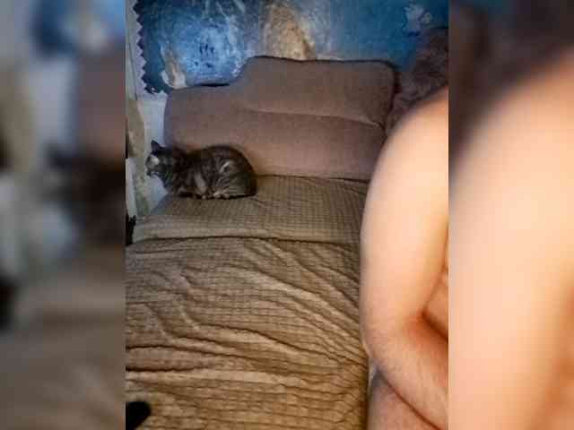 Cat-Bars69 webcam