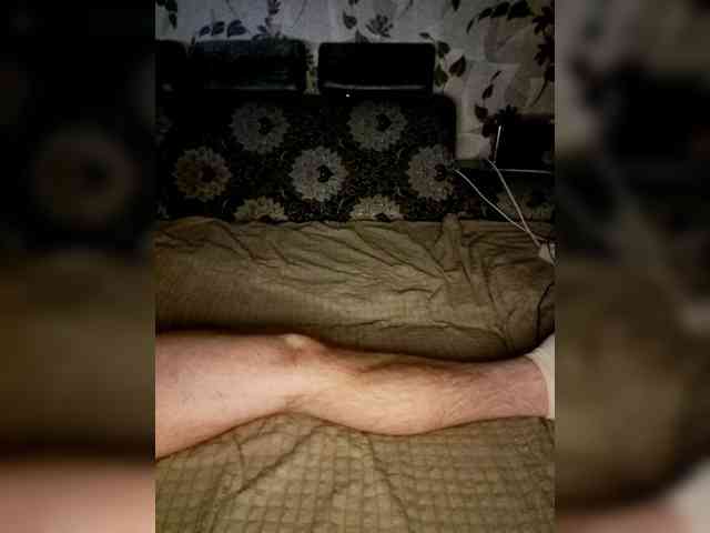 Cat-Bars69 webcam