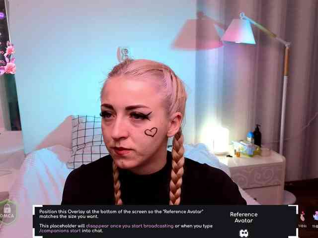 SpaceDanger webcam