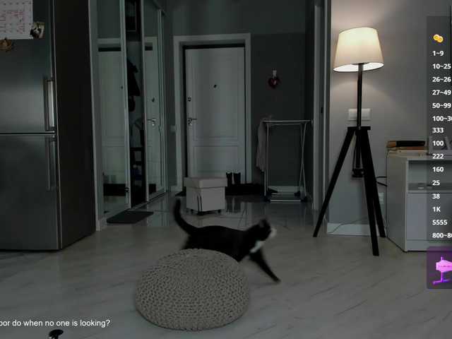 AnitaSeaa's BongaCams show and profile