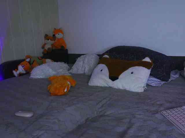 Daddyslittleslutfox webcam