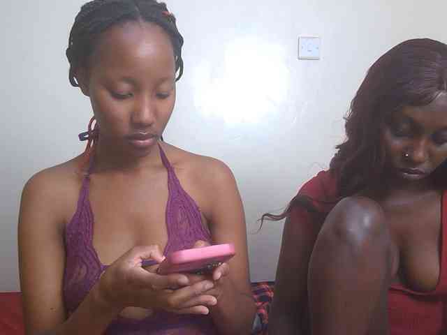 snowfox254 snowfox254