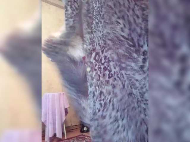 Empresswoman from BongaCams