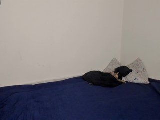 LaraJohnson Porn Show