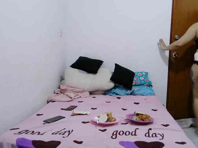 washintonredskins webcam