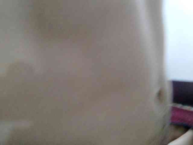 washintonredskins webcam