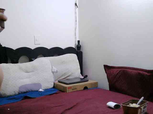 washintonredskins webcam