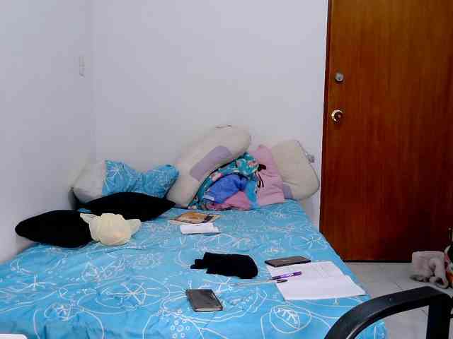 washintonredskins webcam