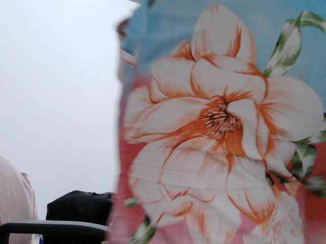 washintonredskins webcam