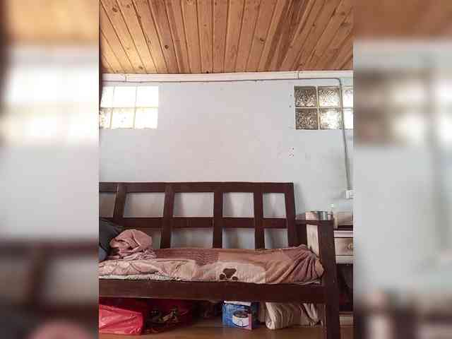 Noumimi webcam