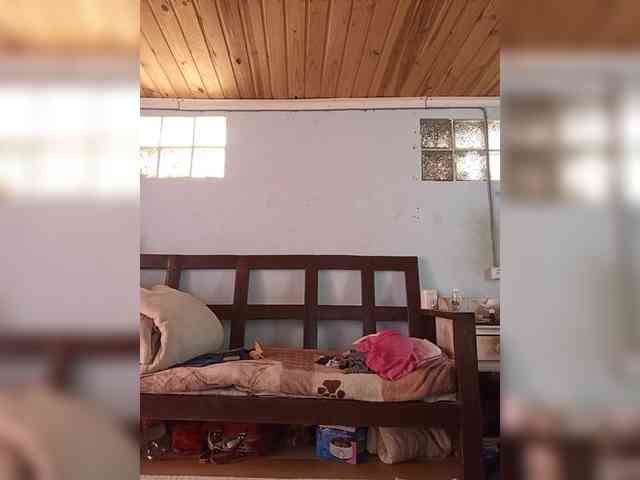 Noumimi webcam