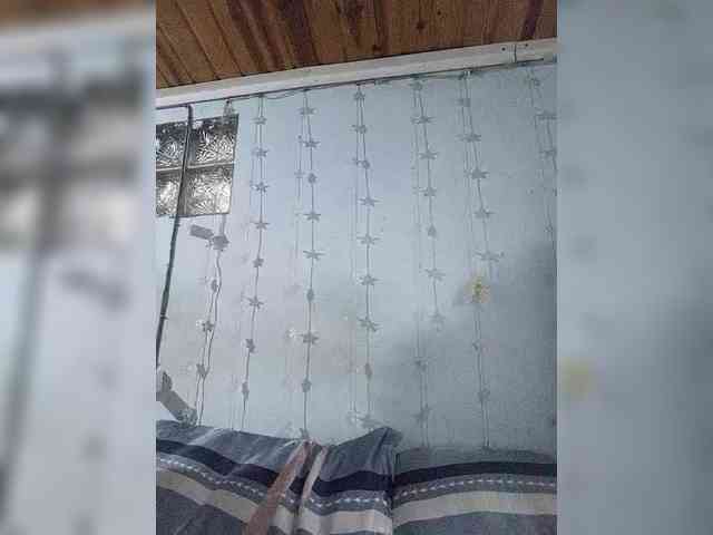 Noumimi webcam