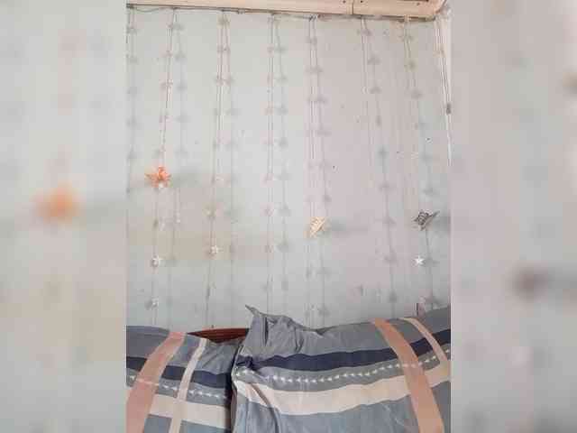 Noumimi webcam
