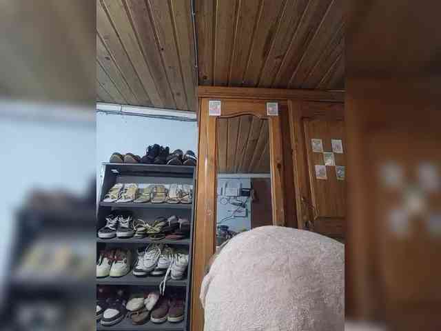 Noumimi webcam