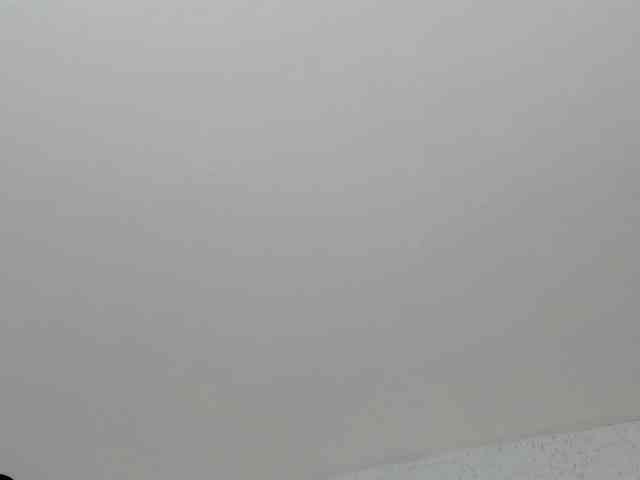 ABRILMILLER-VC webcam