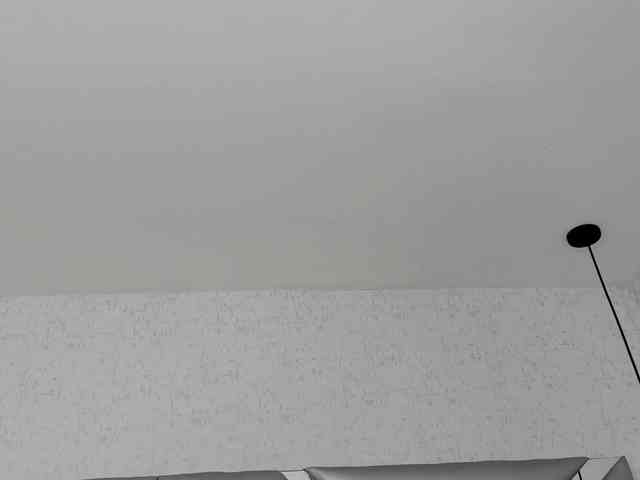 ABRILMILLER-VC webcam