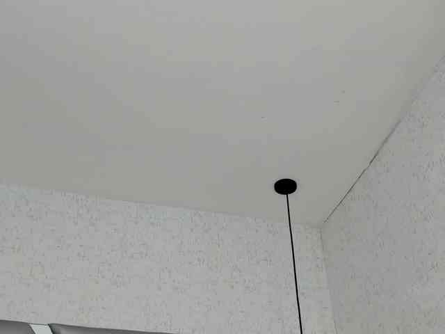 ABRILMILLER-VC webcam