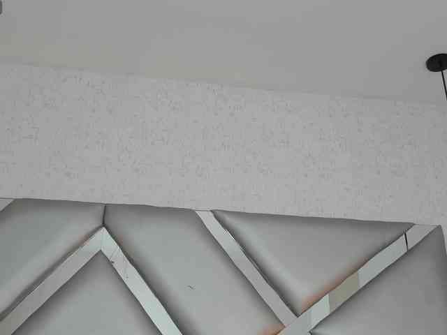 ABRILMILLER-VC webcam