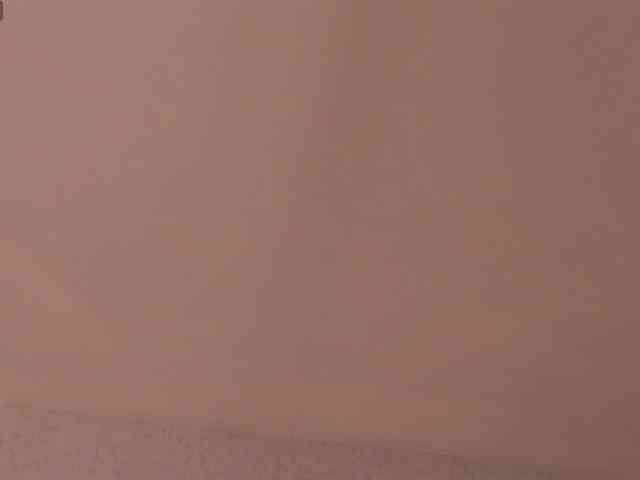 ABRILMILLER-VC webcam