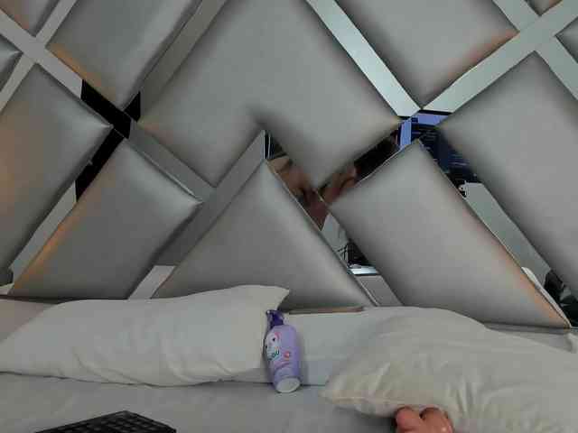 ABRILMILLER-VC webcam