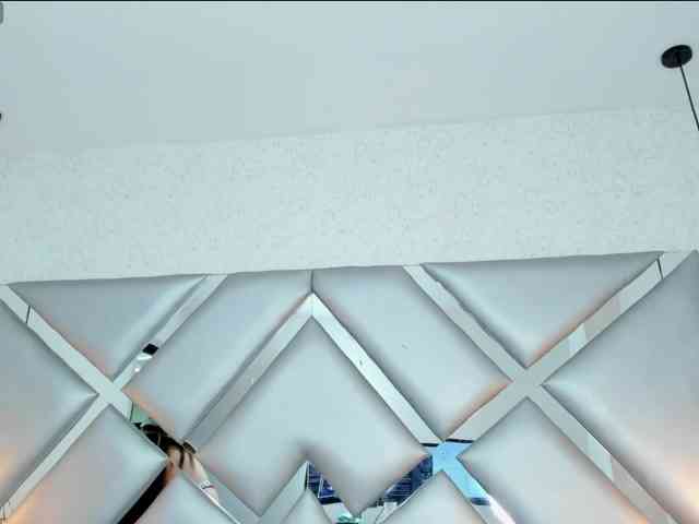 ABRILMILLER-VC webcam