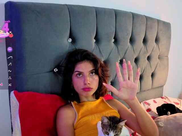 Ninasky webcam