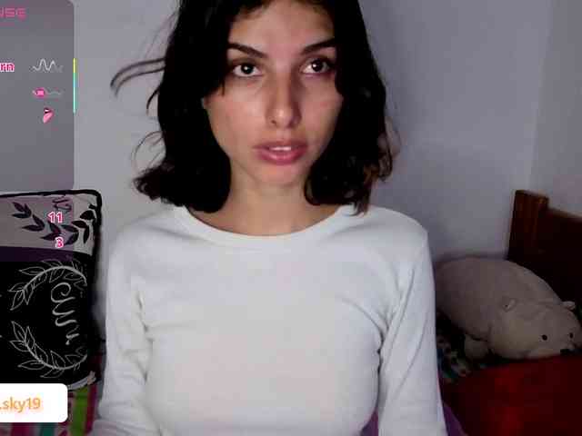 Ninasky webcam
