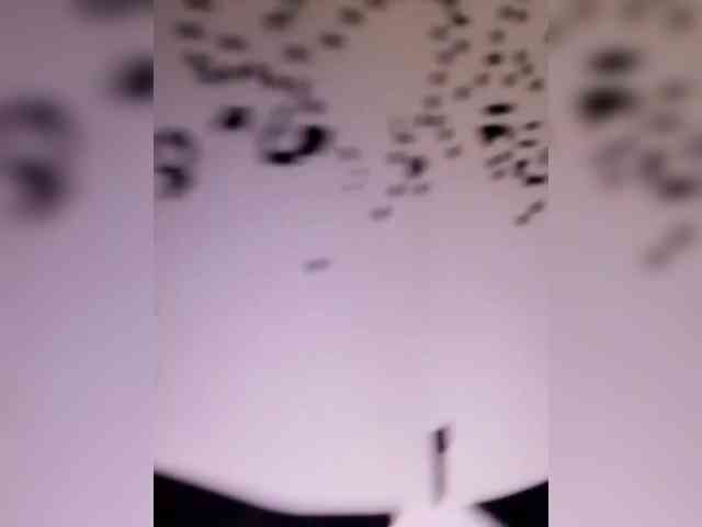 Vitaminka0572 webcam