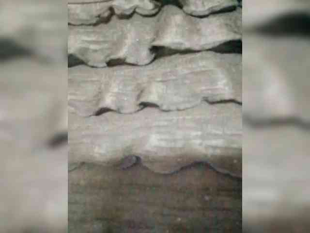 Vitaminka0572 webcam