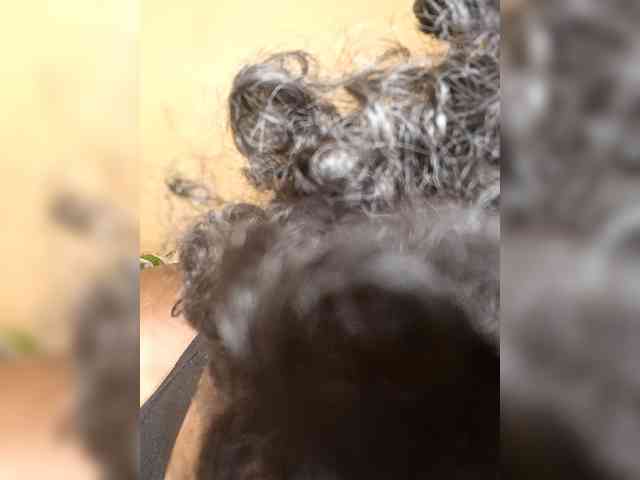 SoniaBella SoniaBella